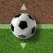 Тотал в футболе