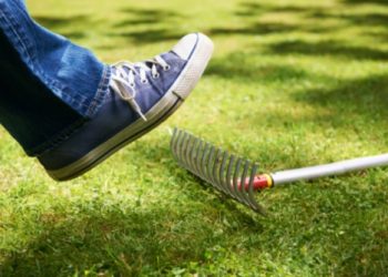 10 ошибок начинающих игроков на ставках. Как их избежать и не потерять деньги?