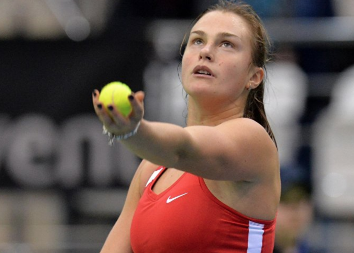 Женский теннис: кто победит на Большом Шлеме в 2019 году